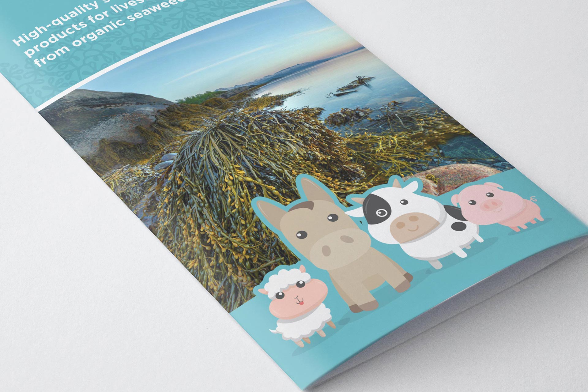 PBD707SL-Sealac-Brochure-DL-01-MOCKUP-1-3